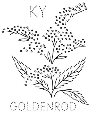 320x388 Drawn Wildflower Goldenrod Flower