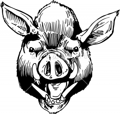 400x379 Hog Head Drawings