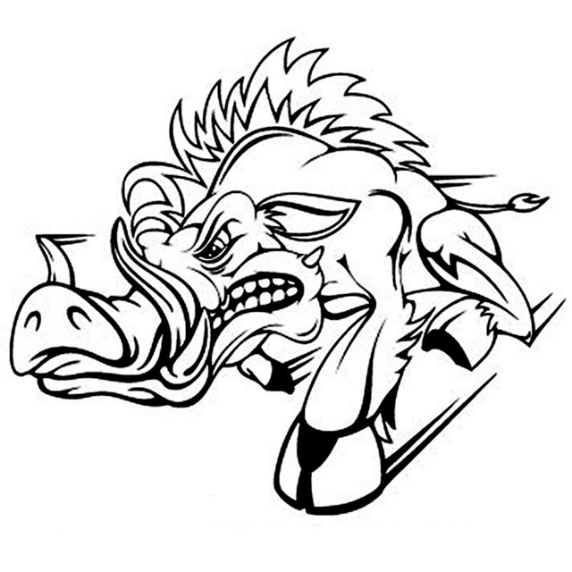 640x640 20x17.2cm Personality Design Wild Pig Vinyl Decal Car Sticker