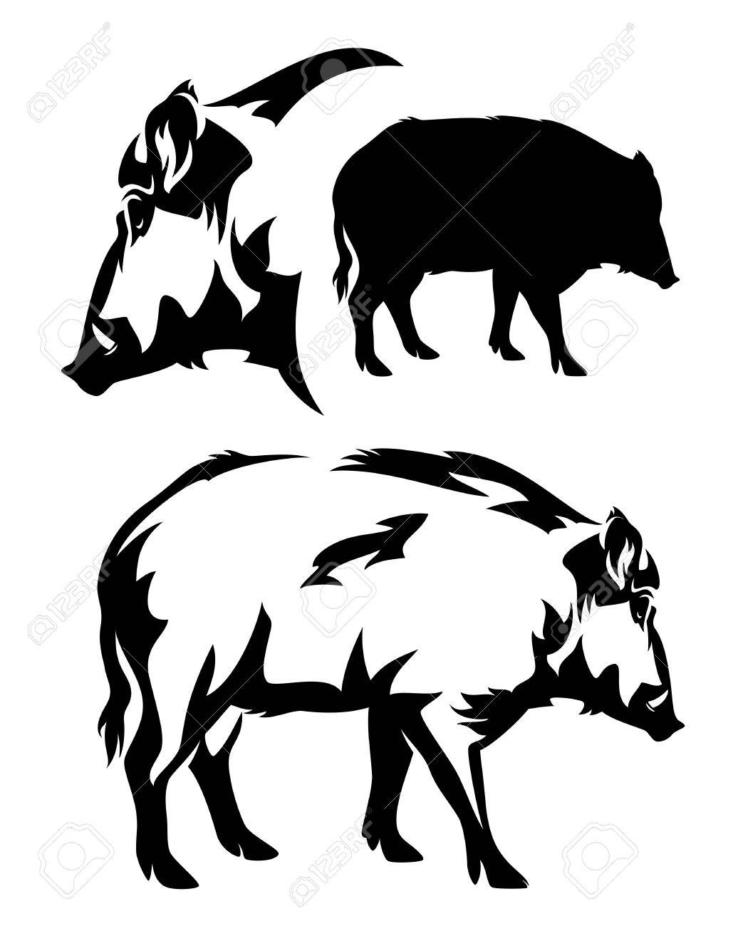 1036x1300 Wild Boar Black And White Vector Outline And Silhouette Royalty