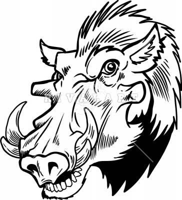 364x400 Wild Boar Skull Drawing