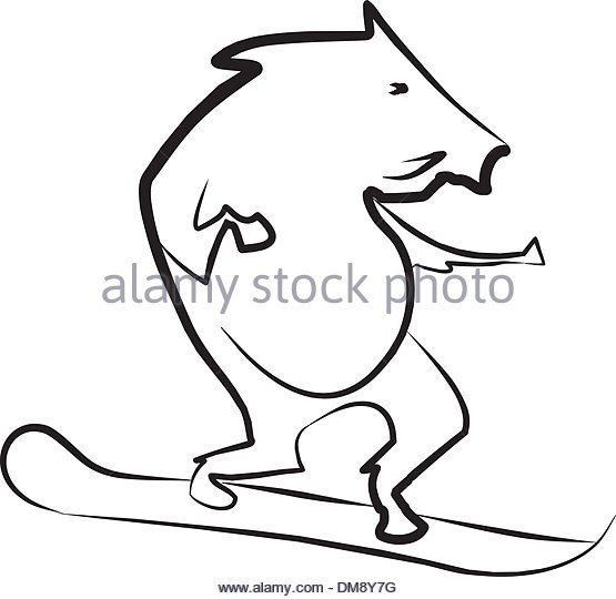 555x540 Wild Boar Stock Vector Images