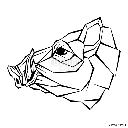 500x500 Wild Boar Head Vector Illustration Style Geometric Stock Image