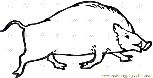 650x333 Wild Boar Mozan Coloring Page