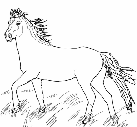 480x444 Mustang Wild Horse Coloring Page Free Printable Coloring Pages