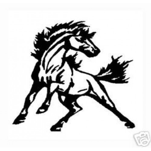 500x500 Wild Horse Large Vinyl Stickerdecal