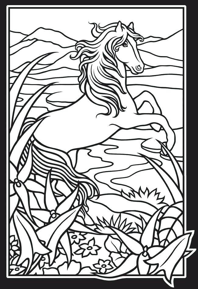 650x948 Wild Horse Coloring Pages Printable Horse Coloring Page Wild Horse