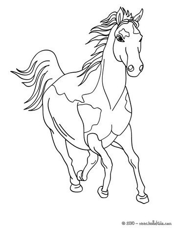 364x470 Wild Horse Coloring Pages