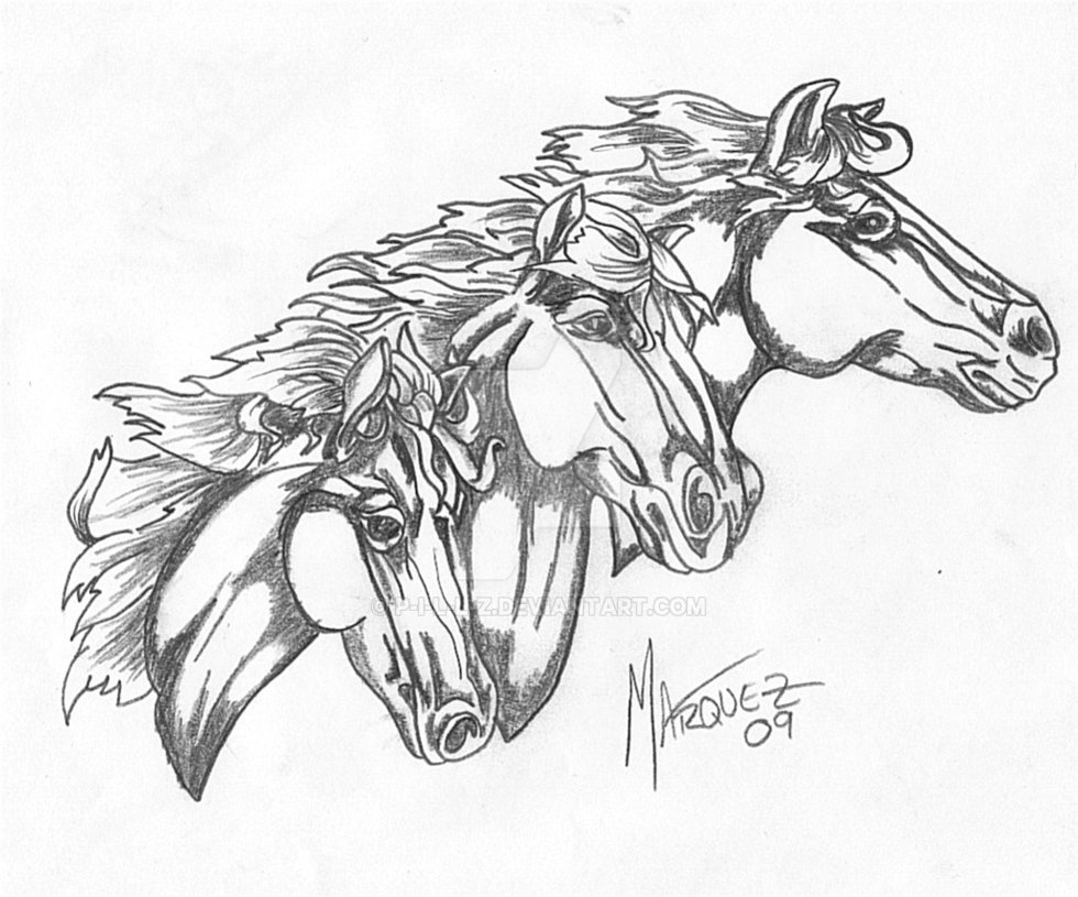 980x815 Wild Horses By P I L L Z