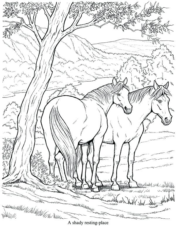 Wild Horses Drawing at GetDrawings | Free download