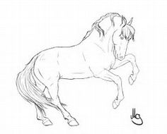 236x190 Image Result For Beautiful Pencil Drawings Of Horses Cowtown