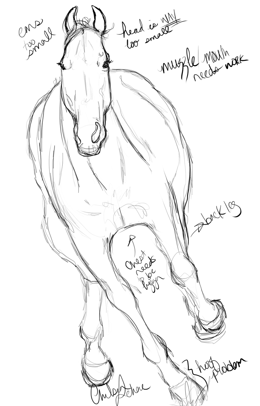 900x1405 All The Wild Horses Sketch By Pom Happy My Dog