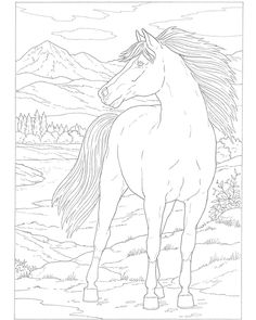 236x295 Reeves Scraperfoil Silver, Wild Horses Being Crafty