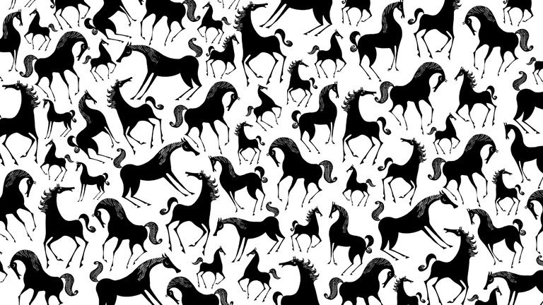 768x432 The Hard Truth About The West's Wild Horse Problem