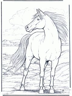 236x314 Wild Horse Coloring Pages