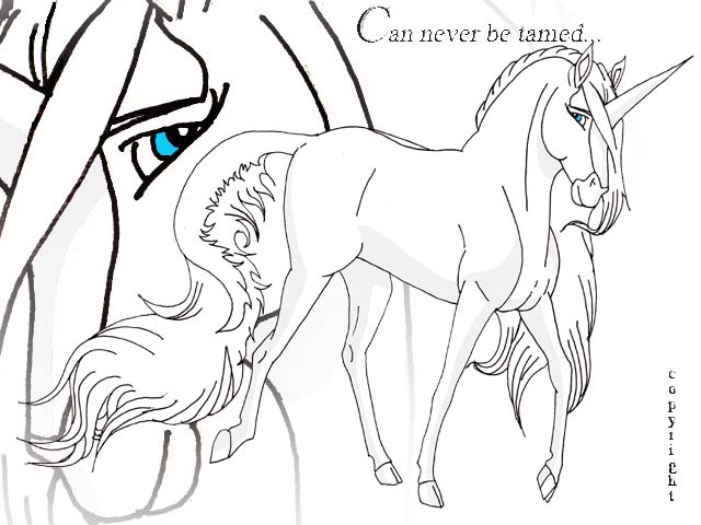 640x480 Can Never Be Tamed By Arabis Wild Horses