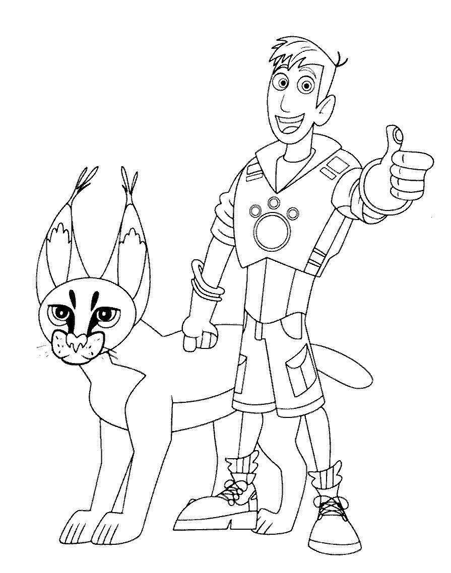 895x1138 Wild Kratts Coloring Pages Preschool For Sweet Draw Kids