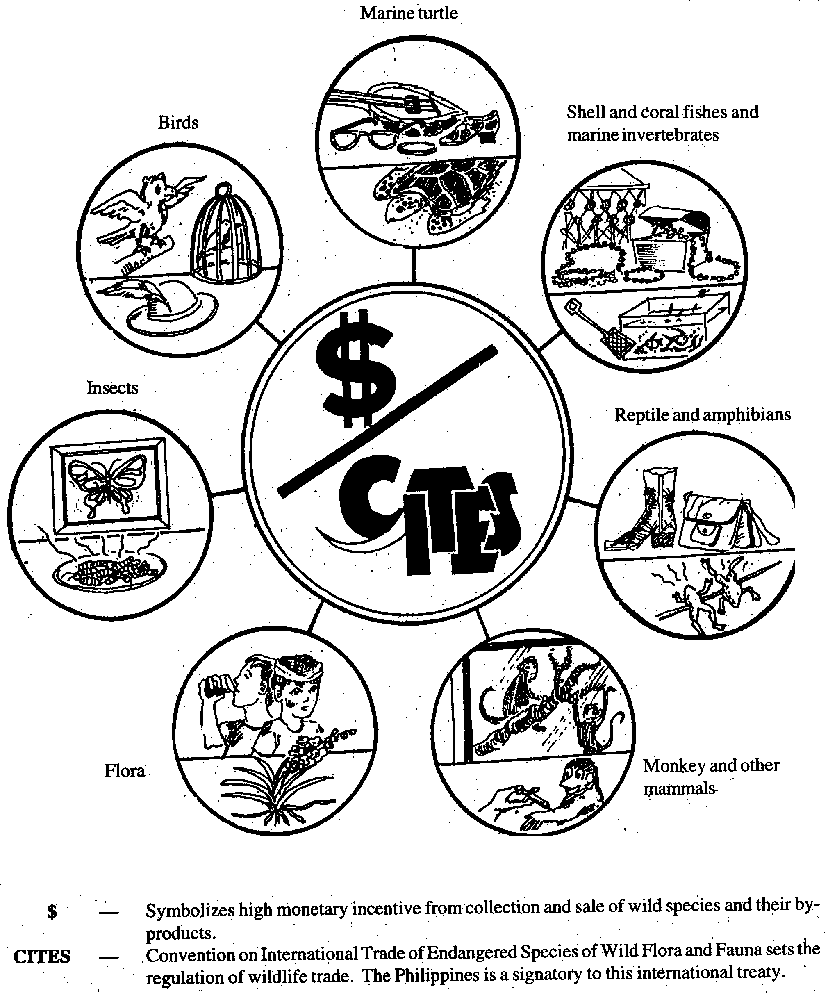 828x993 Basic Concepts In Environment, Agriculture And Natural Resources