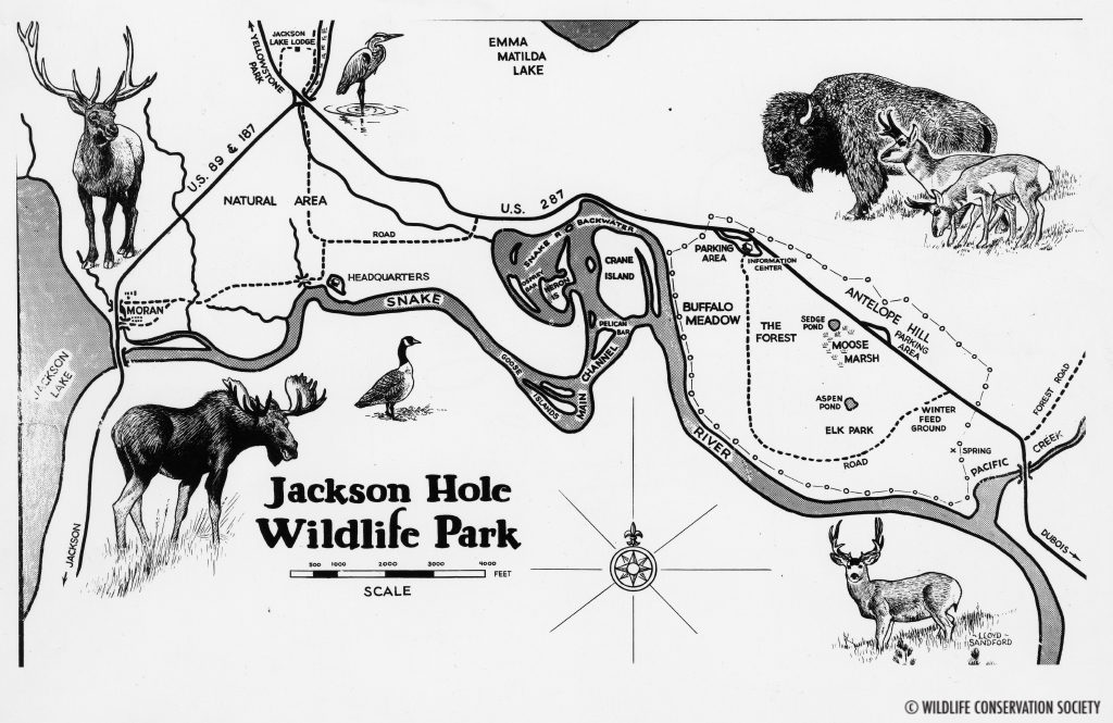 1024x665 Celebrating The Nps Centennial In The Jackson Hole Wildlife Park