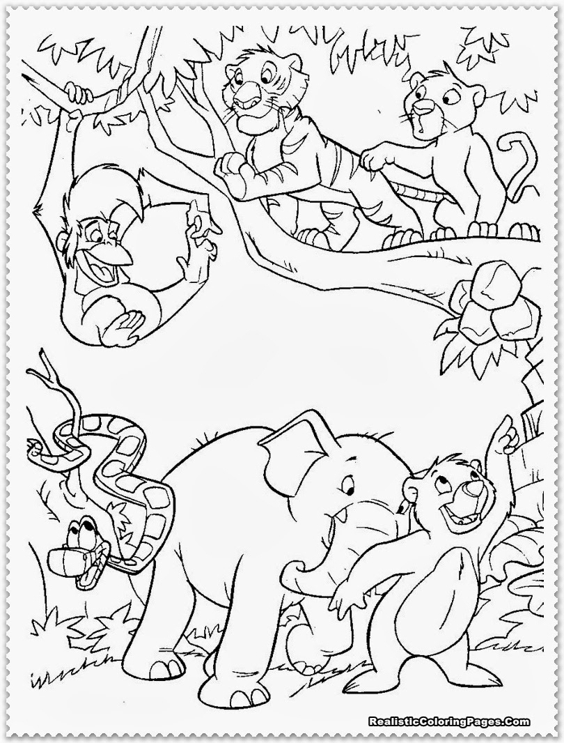 810x1066 Jungle Drawing With Wild Animals Forests Wildlife Lovely