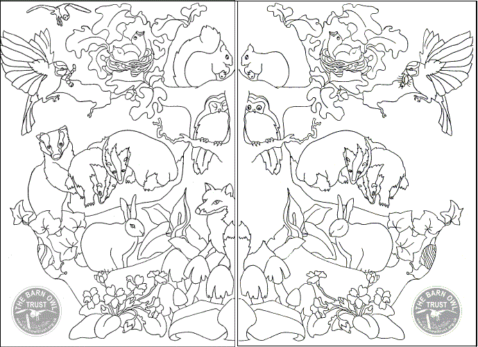689x500 Spot The Difference British Wildlife Puzzle