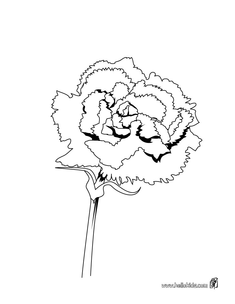 820x1060 Rose Coloring Pages