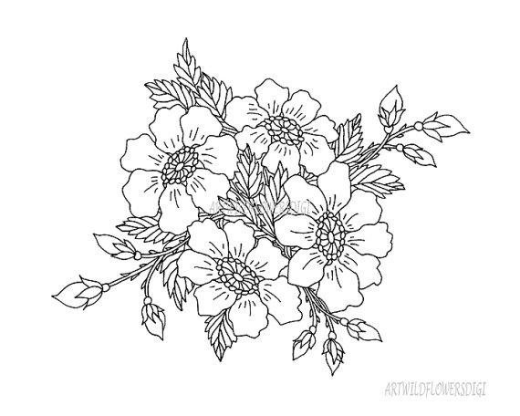 570x456 Wild Rose Digital Stamp Amp Coloring Pages By Artwildflowersdigi