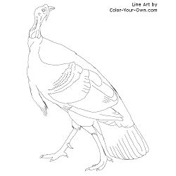 250x250 New Coloring Page