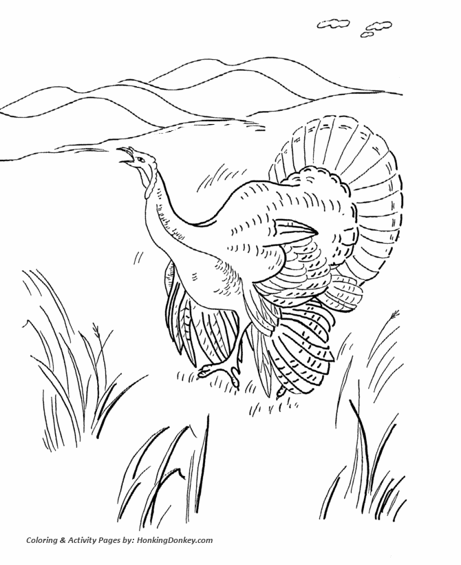 670x820 Thanksgiving Coloring Pages