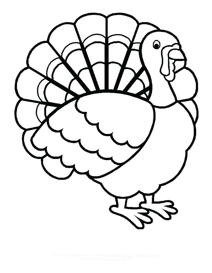 736x948 Turkey Coloring Pics Coloring Pages Of A Turkey Turkey Coloring