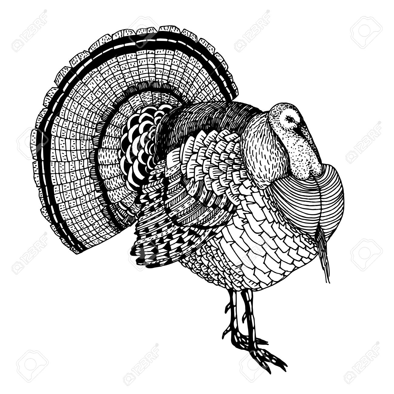 1300x1300 Abstract Hand Drawn Vector Illustration With A Turkey Isolated