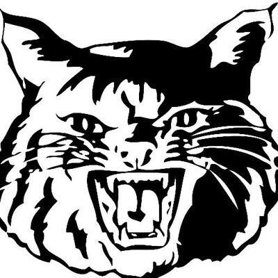 Wildcats Drawing at GetDrawings | Free download