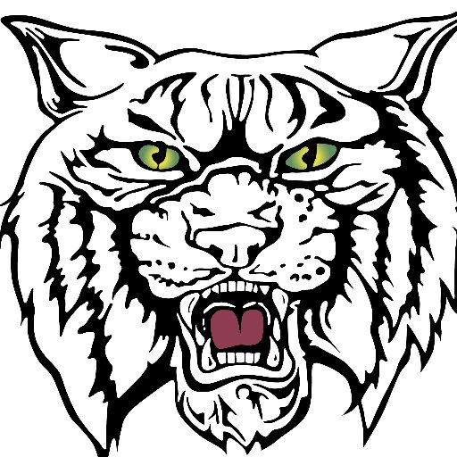 512x512 Sambrano Wildcats (@jlsambrano) Twitter