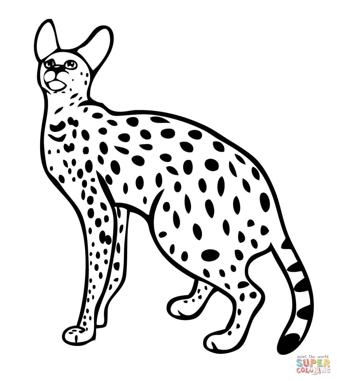 1146x1294 Wild Cats Coloring Pages