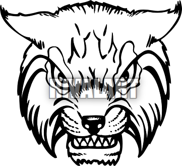 361x329 Wildcat Clipart Bobcat