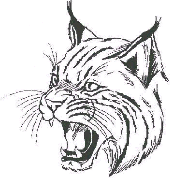 358x370 Elgin Wildcats