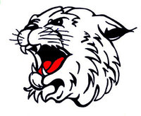 200x164 Highland Wildcats