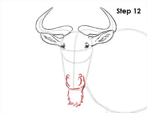 500x386 How To Draw A Wildebeest