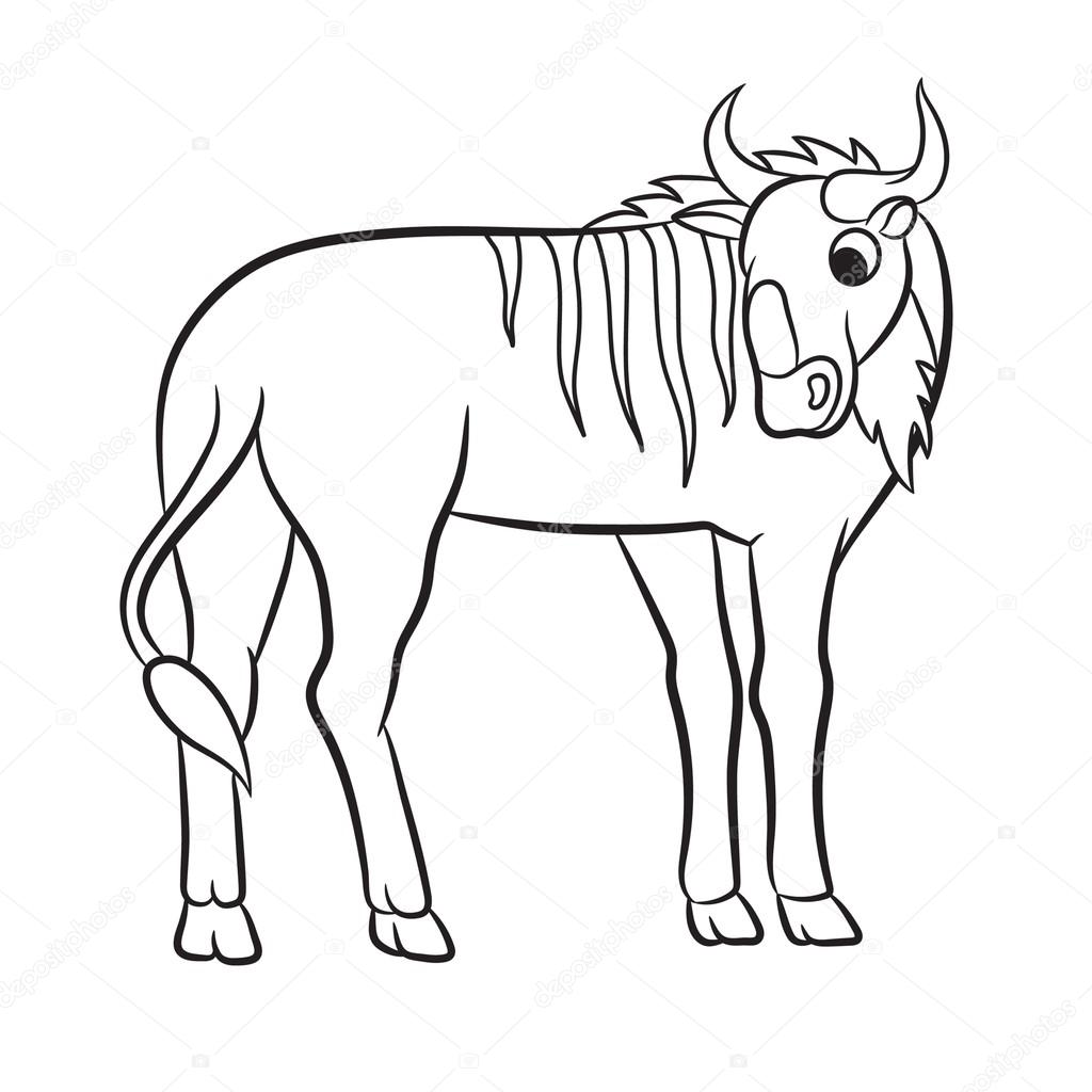 1024x1024 Illustration Of A Wildebeest Stock Vector Arnica83