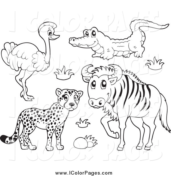 600x620 Vector Coloring Page Of A Lineart Cheetah Ostrich Crocodile