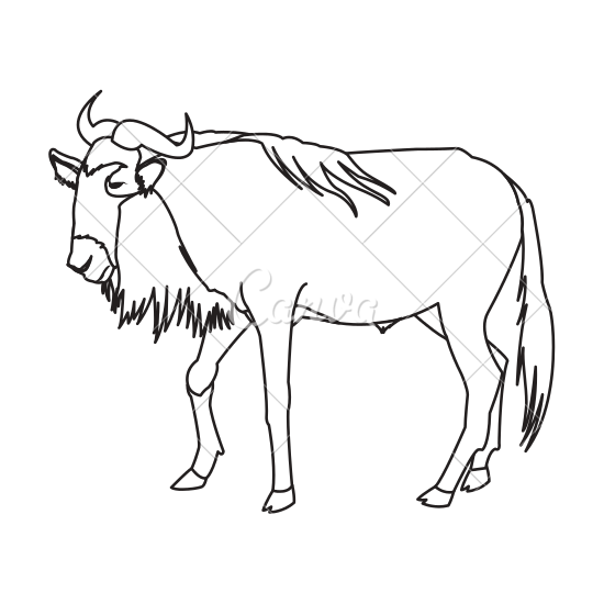 550x550 Wildebeest Animal Illustration