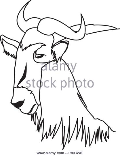 417x540 Wildebeest Cut Out Stock Images Amp Pictures