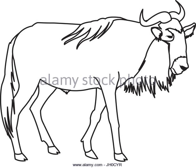 Wildebeest Drawing at GetDrawings | Free download