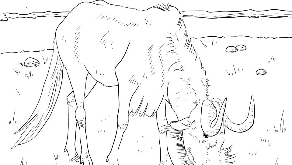 960x544 Gnu Coloring Pages Fishing On A Boat With Polar Bear Coloring Page