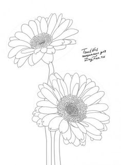 236x322 How To Draw A Bouquet Of Flowers Step By Step. Drawing Tutorials