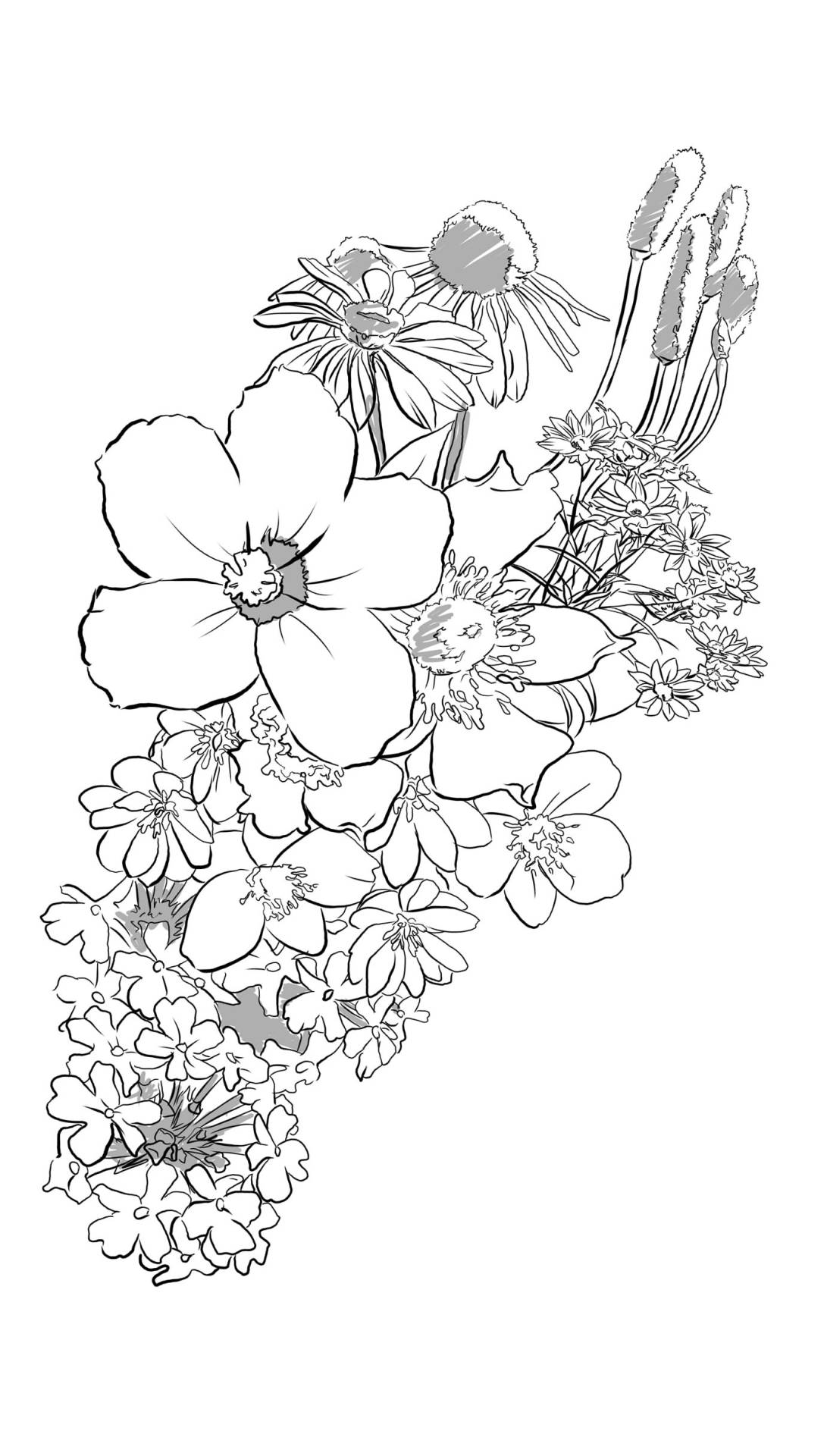 1091x1920 Watch Out For Ghosts Illinois Wildflowers Sketch. (Unfortunately
