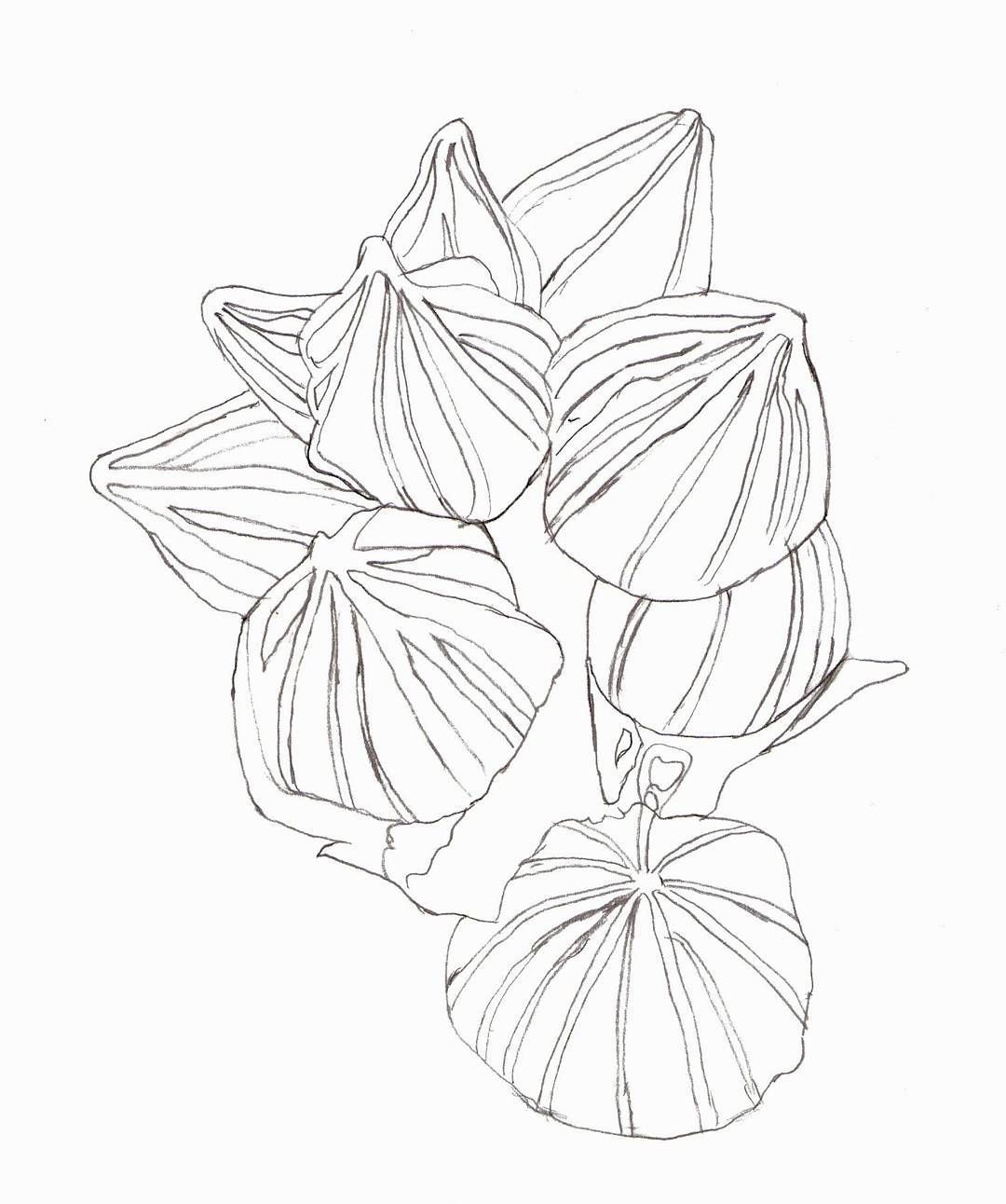 1080x1292 Wildblumen