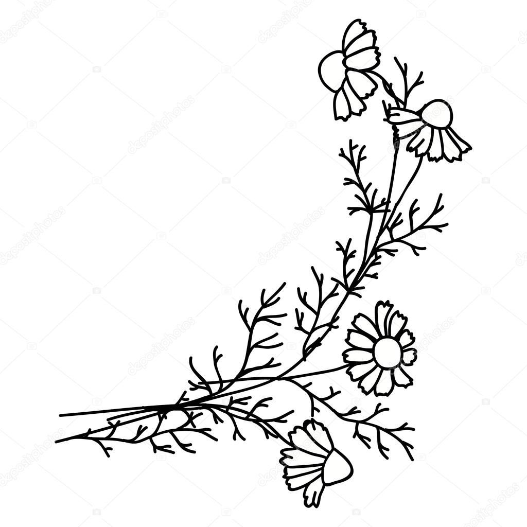 Wildflowers Drawing At Getdrawings Free Download