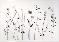 236x169 Drawn Wildflower Simple