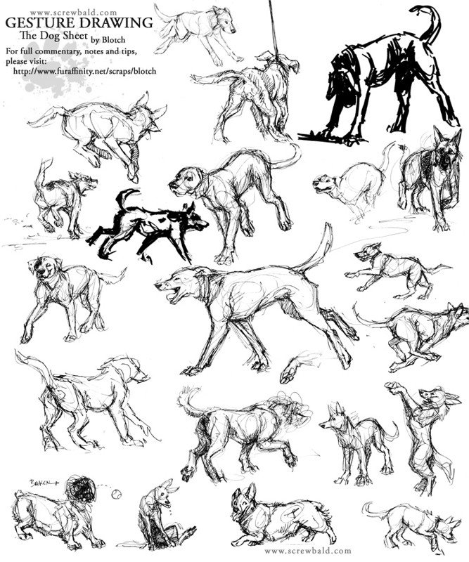 667x800 Gesture Drawing Dogs By Blotch